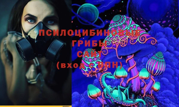 соль ск Абаза