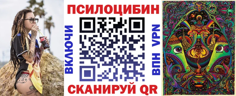 Галлюциногенные грибы Psilocybe  Белая Калитва 